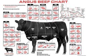 Cuts of beef Chart