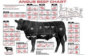 Cuts of Beef Chart