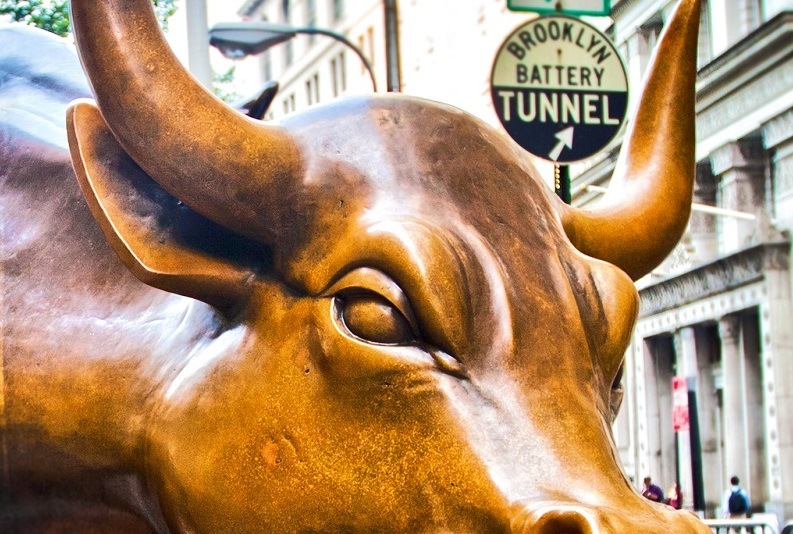 Cattle for Institutional Investors