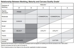 USDA beef quality matrix